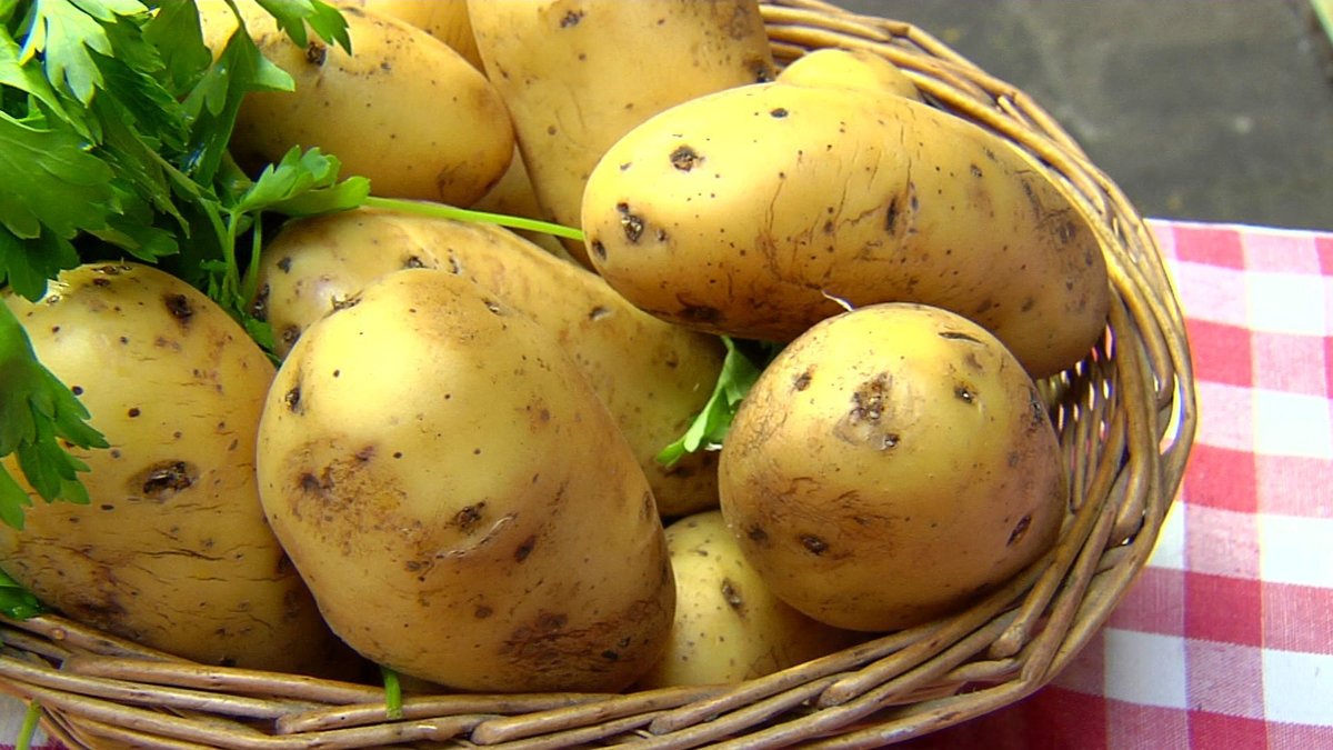 Kartoshka - Картофель - Картошка - Potatoes