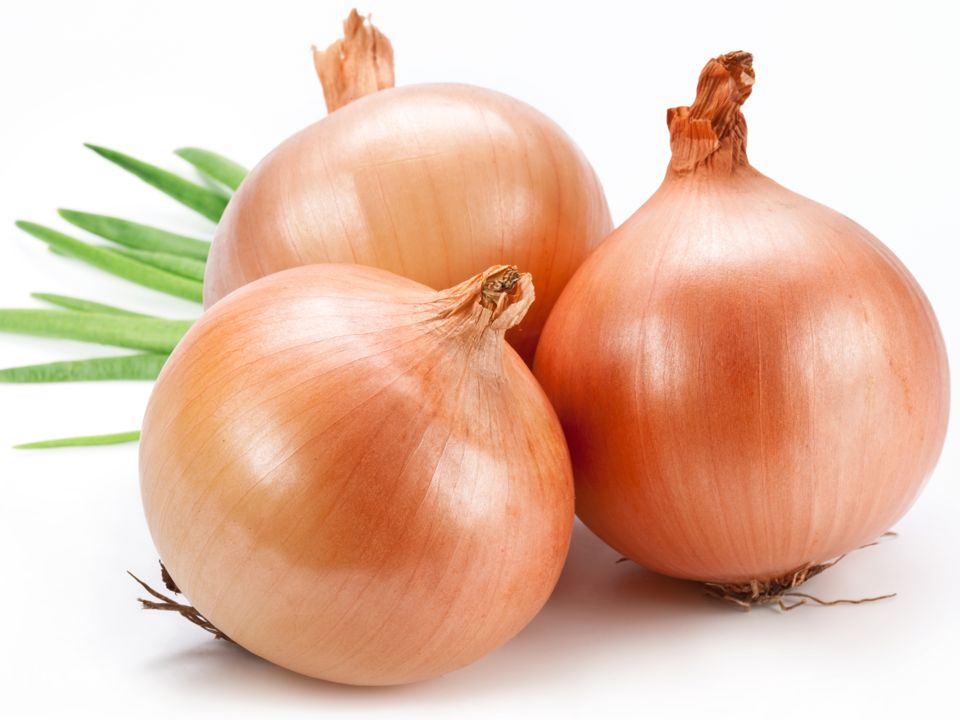 Лук - Onion - Piyoz - Пиёз