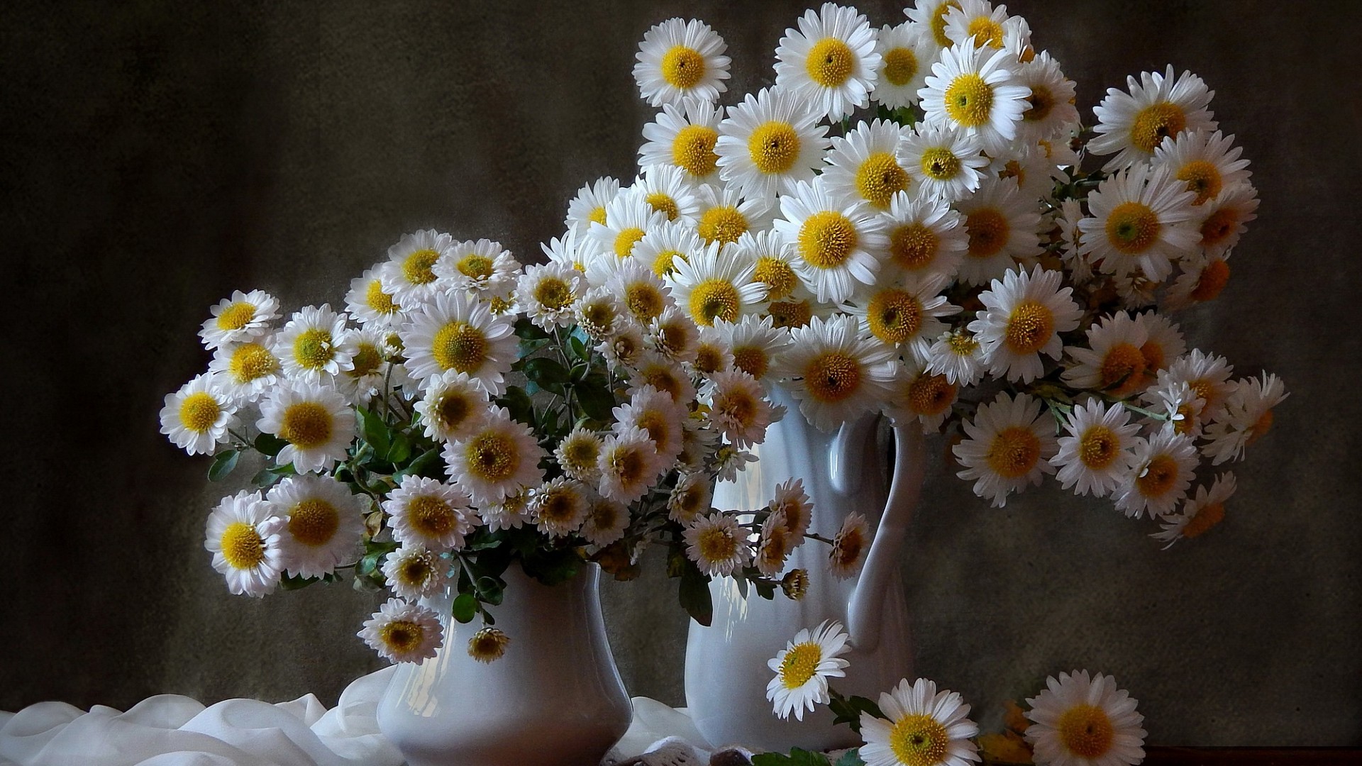 Цветы / Flowers / Gullar / Гуллар / гул / gul / gullar - atirgul - guli - lola - lola gul - binafsha gul - Gullarning turlari qanday - gullar nomi