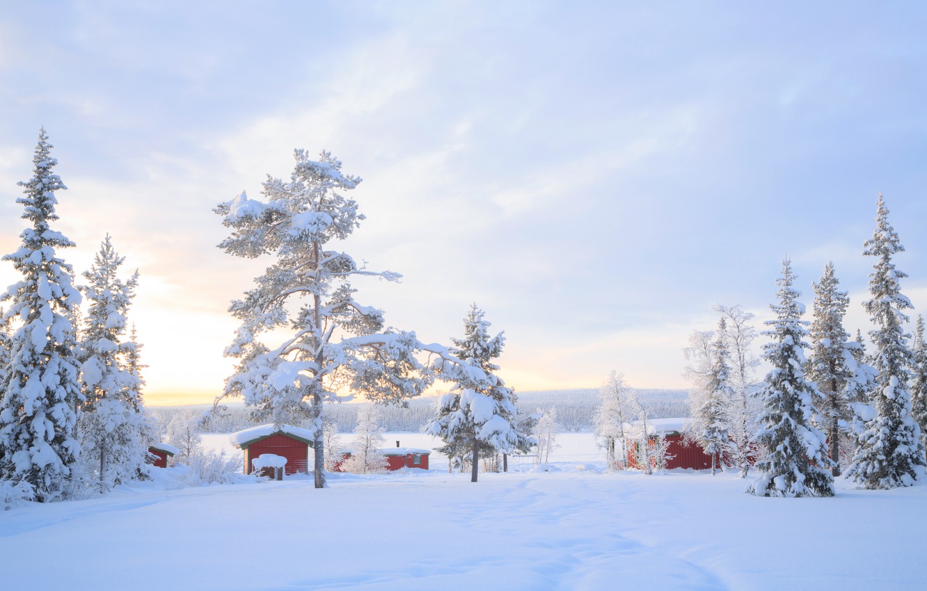 зима , снег , деревья , пейзаж , зимний , house , хижина , landscape , nature , beautiful , winter , snow , cottage ,