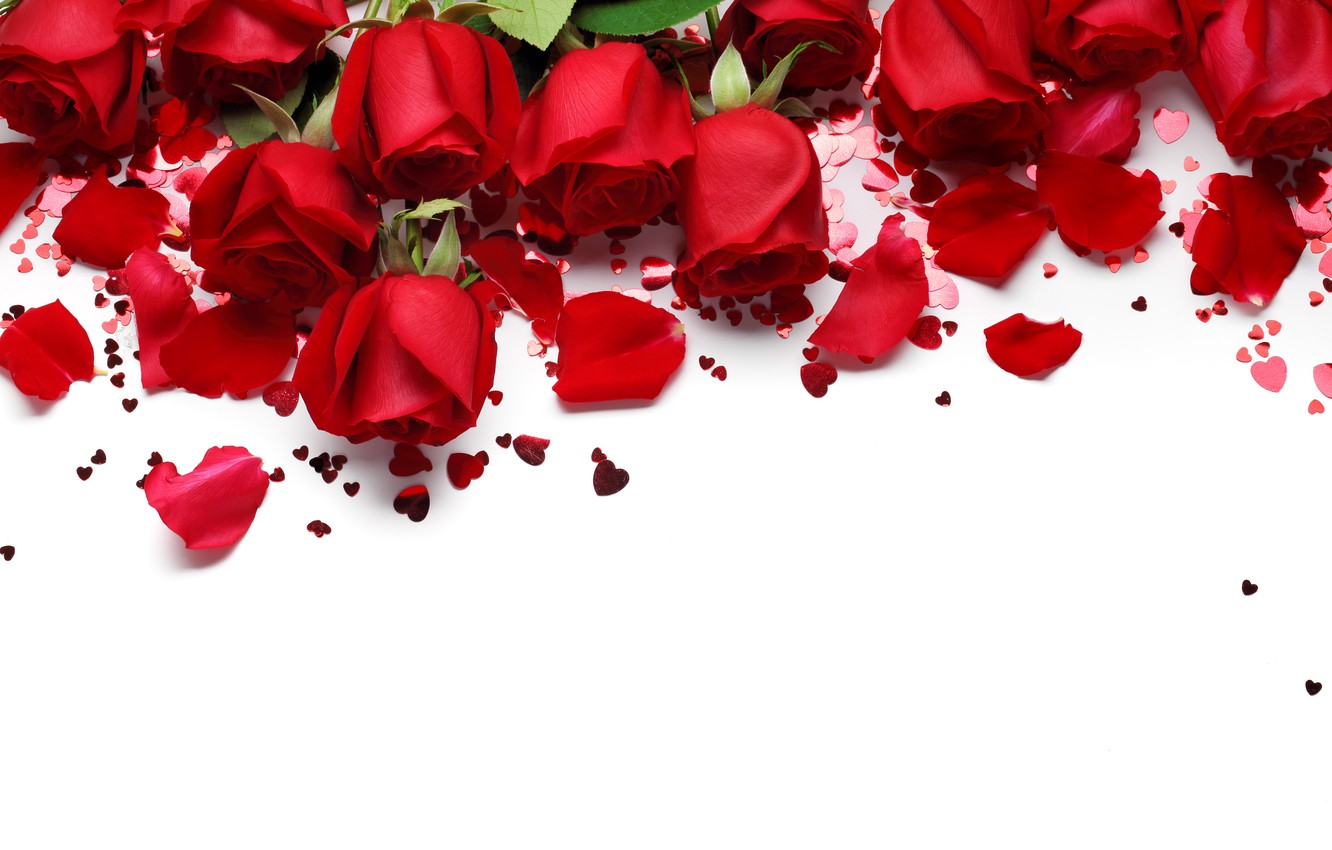 сердечки , red , love , flowers , romantic , hearts   , Valentine's Day , gift , roses , красные розы ,