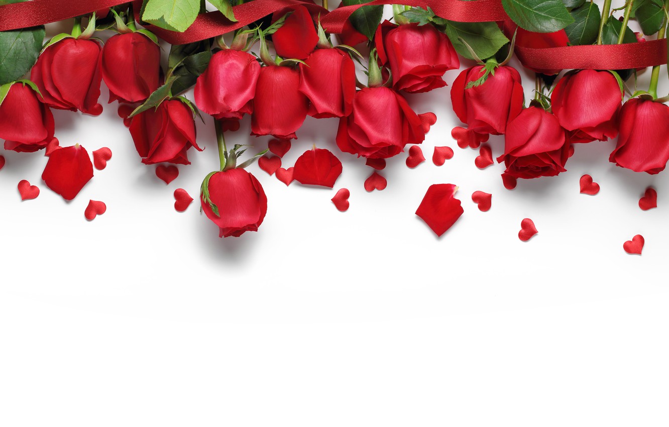 сердечки , red , love , flowers , romantic , hearts  , Valentine's Day , gift , roses , красные розы ,