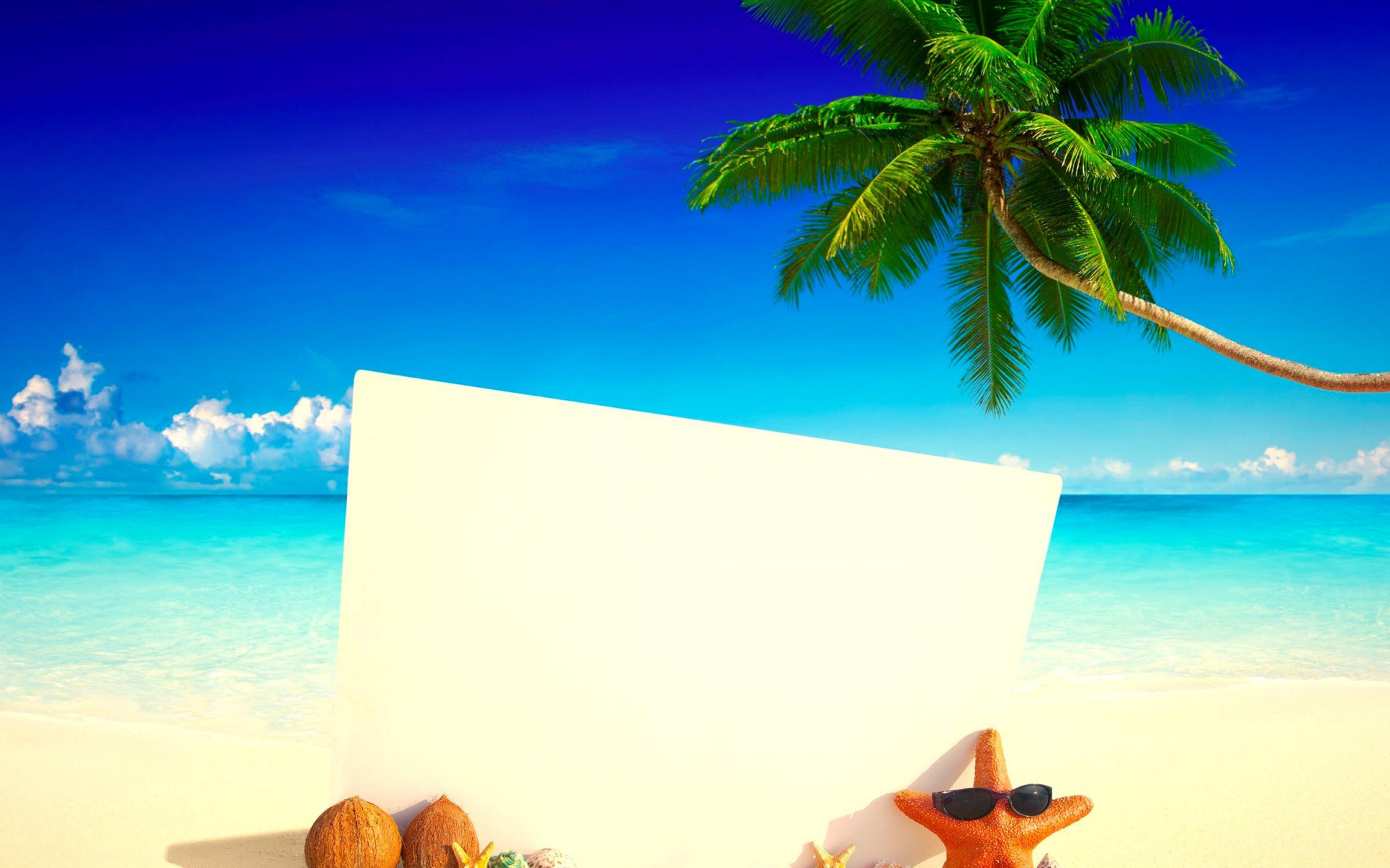 море, пляж, тропики, пальма, кокос, карта, сланцы, sea , beach , tropics , Palma , coconut , card , slates ,