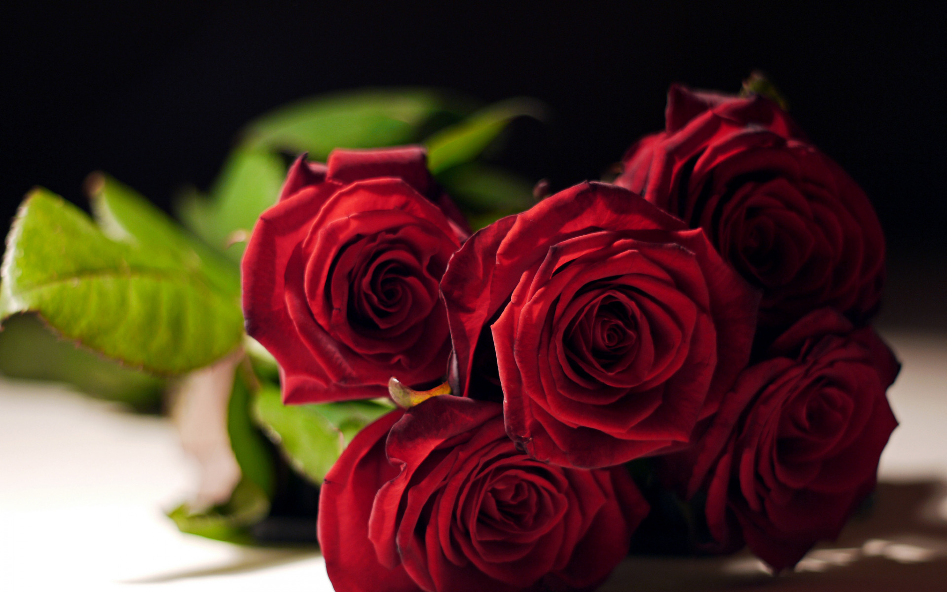 roses , bouquet , buds , розы, букет, бутоны, atirgullar, guldasta, kurtaklari,
