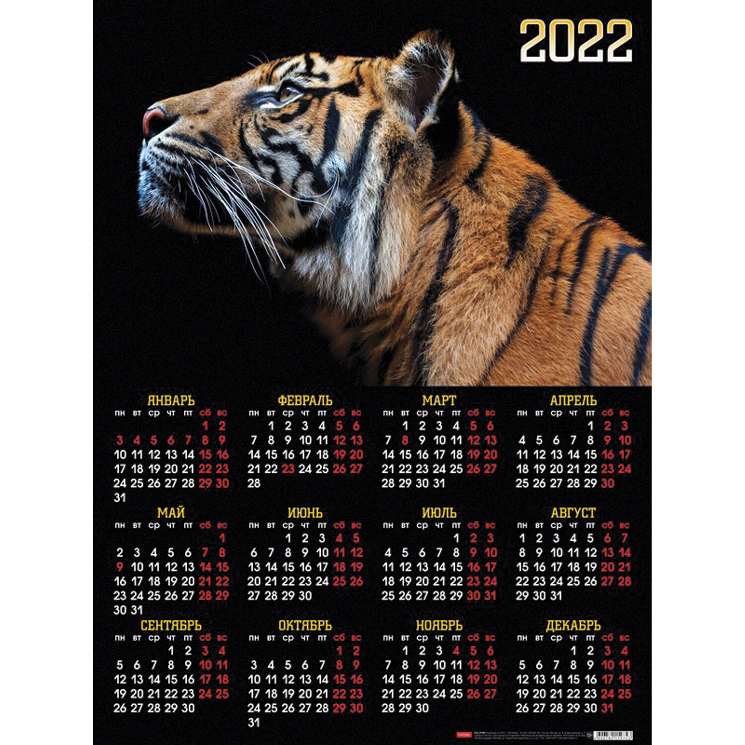 календарь 2022 , календарь 2022 год , calendar 2022 download , calendar 2022 ,  calendar year ,  календарь 2022 казахстан , календарь 2022 латвия
