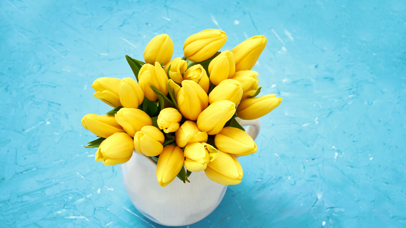 wallpapers, pictures, download, flowers, bouquet, yellow, tulips, fresh, yellow, flowers, tulips, spring
