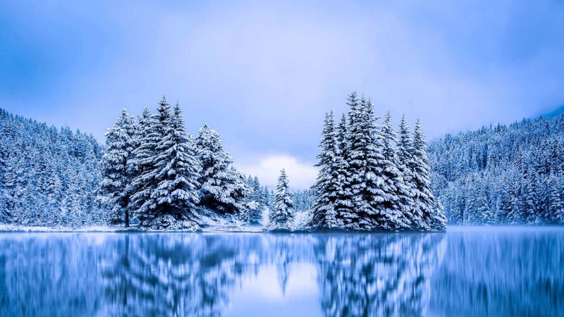 Зима сезон Обои снег - Qish fasli qor Merry Christmas! Happy New Year