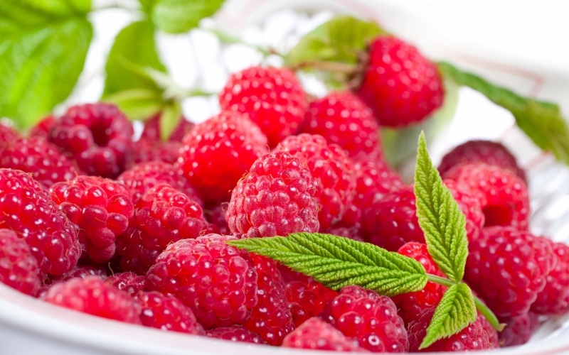 berries , raspberry , plate , treat , ягоды, малина, тарелка , угощение , rezavorlar, malina, plastinka, davolash,