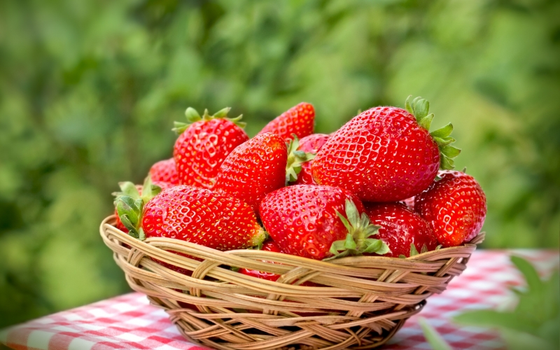 berries , strawberry , red , basket , fresh , ripe , strawberry , berries , berries , strawberry , red , basket , fresh , ripe , strawberry , berries , rezavorlar, qulupnay, qizil, savat, yangi, pishgan, qulupnay, mevalar,