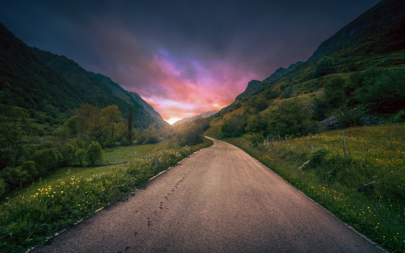 road , summer , flowers , mountains , morning ,