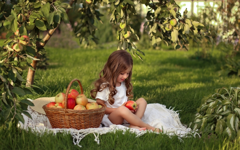 basket , apples , harvest , girl ,