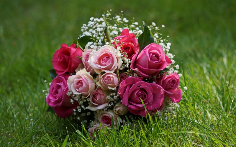 grass , roses , bouquet , wedding bouquet , трава, розы, букет, свадебный букет, o't, atirgul, guldasta, to'y guldastasi,